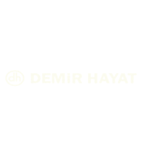 DEMİR HAYAT SİGORTA - Sigorta Hizmetleri